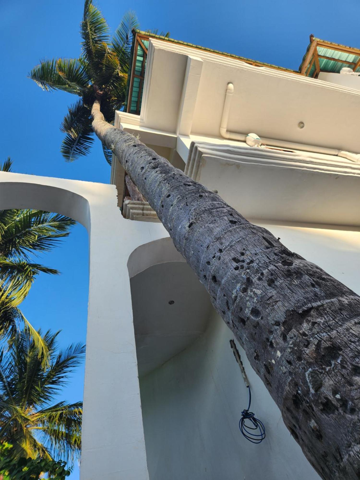 فندق Two Palms جامبياني المظهر الخارجي الصورة